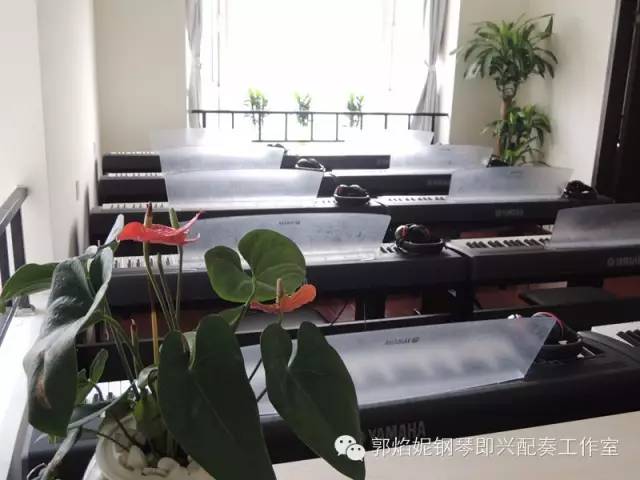 看简谱弹钢琴~郭焰妮钢琴即兴配奏工作室2020年暑假集训招生快讯